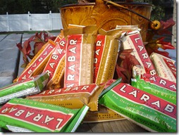 September 23, 2010 012