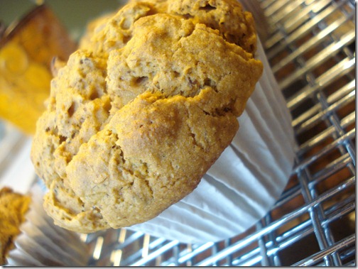 September 23, 2010 024