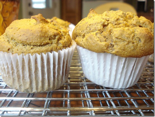 September 23, 2010 026