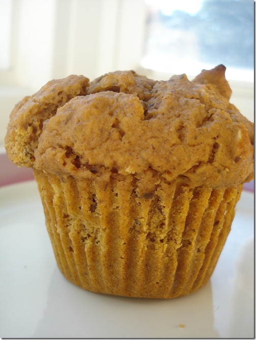 September 25, 2010 006