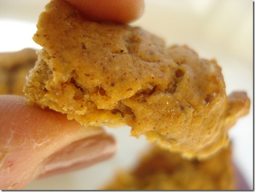 September 25, 2010 009