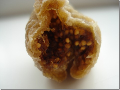 September 26, 2010 014