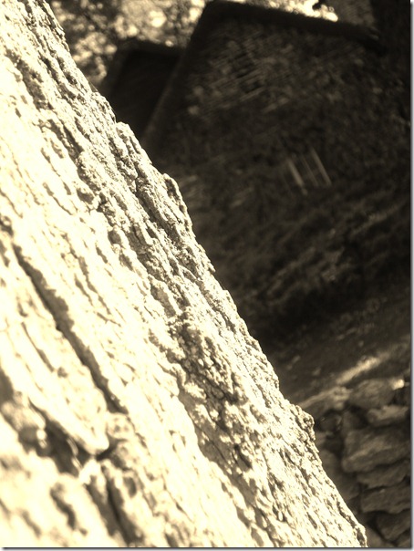 September 30, 2010 021 (2)