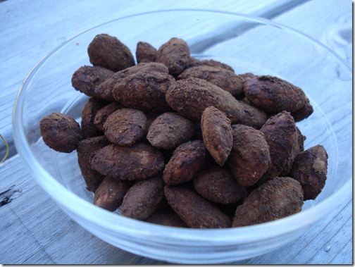 November 2, 2010 040