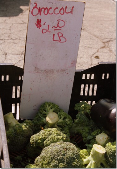 August 13, 2011 039