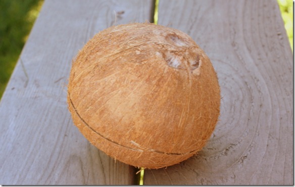 September 5, 2011 015