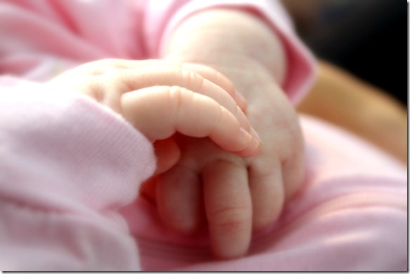 October 29, 2011 033