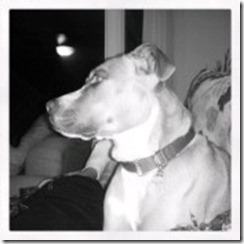 10-DA4AE997-218454-960