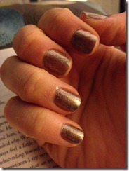 November 11, 2012 017