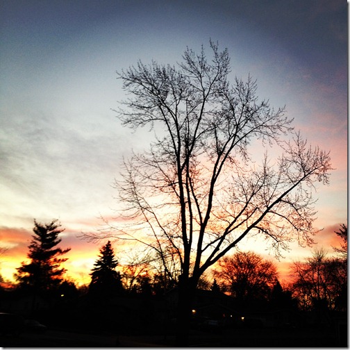 November 11, 2012 018