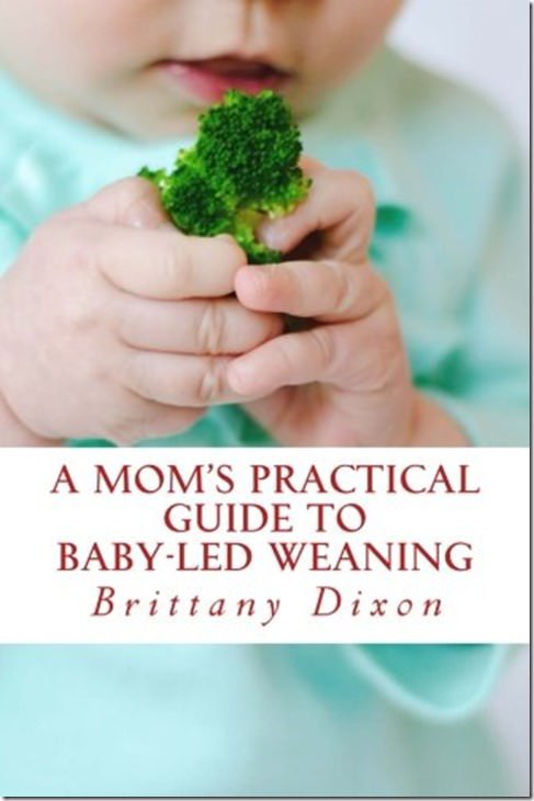 practical guide to baby led weaning